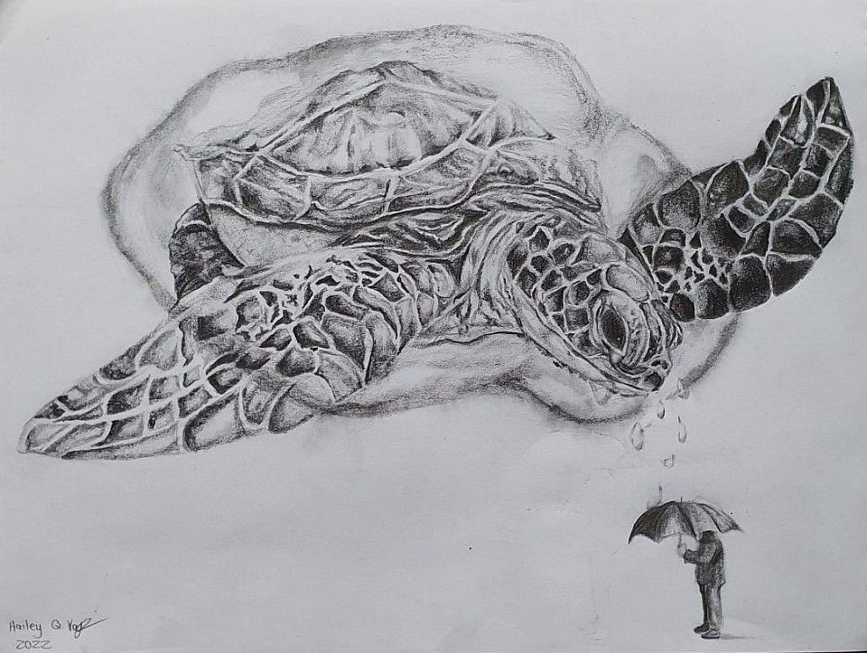 Hailey / graphite on paper