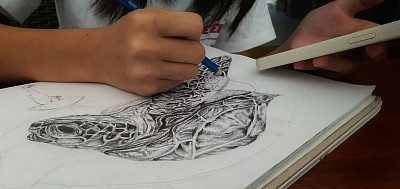 Hailey at work, drawing on paper.